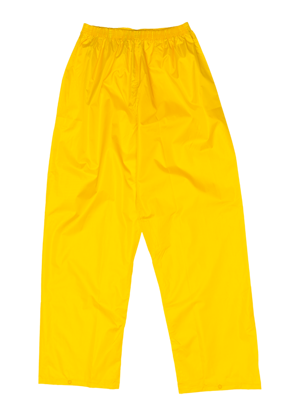 5001_YELLOW_2